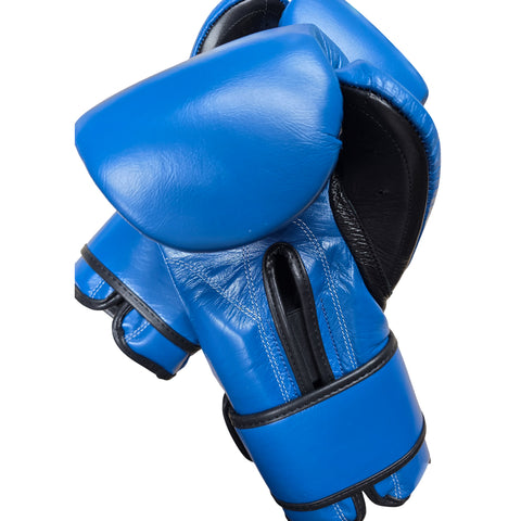 Boxing Gloves Cleto Reyes Hook Loop Blue