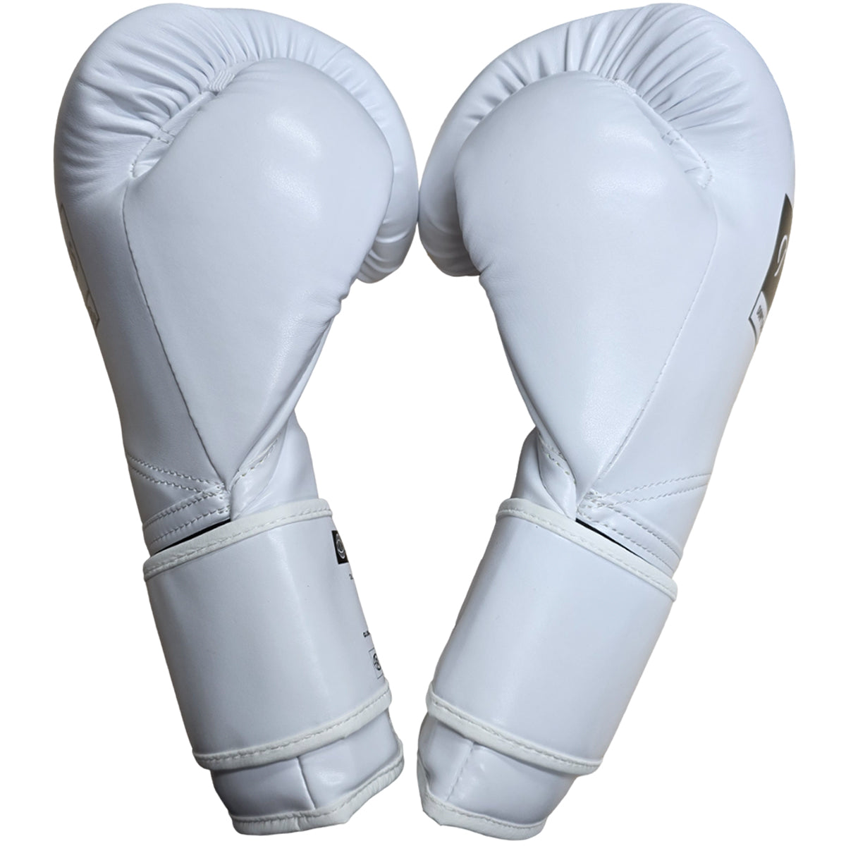 Boxing Gloves DST2 White Techniques Canada White