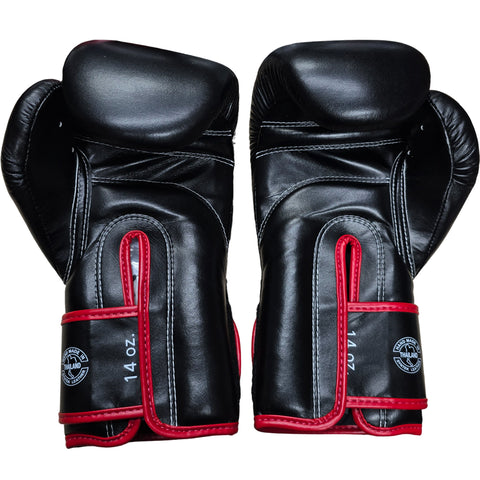 Boxing Gloves Fairtex BGV14 Black