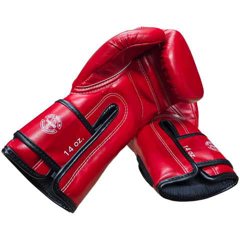 Boxing Gloves Fairtex BGV14 Red