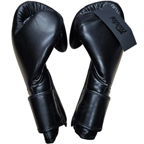 Boxing Gloves Fairtex BGV14SB Super Black