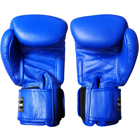 Boxing Gloves Twins Special BGVL3 Blue Muay Thai Style