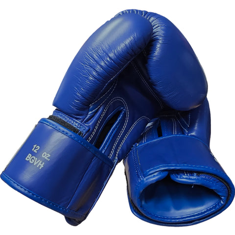 Boxing Gloves Windy BGVH Blue