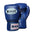 Boxing Gloves Muay Thai Windy BGVH Blue (Leather)