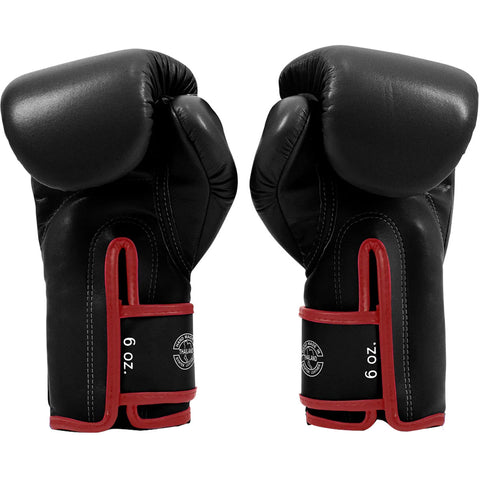 Boxing Gloves Fairtex BGV14 Black