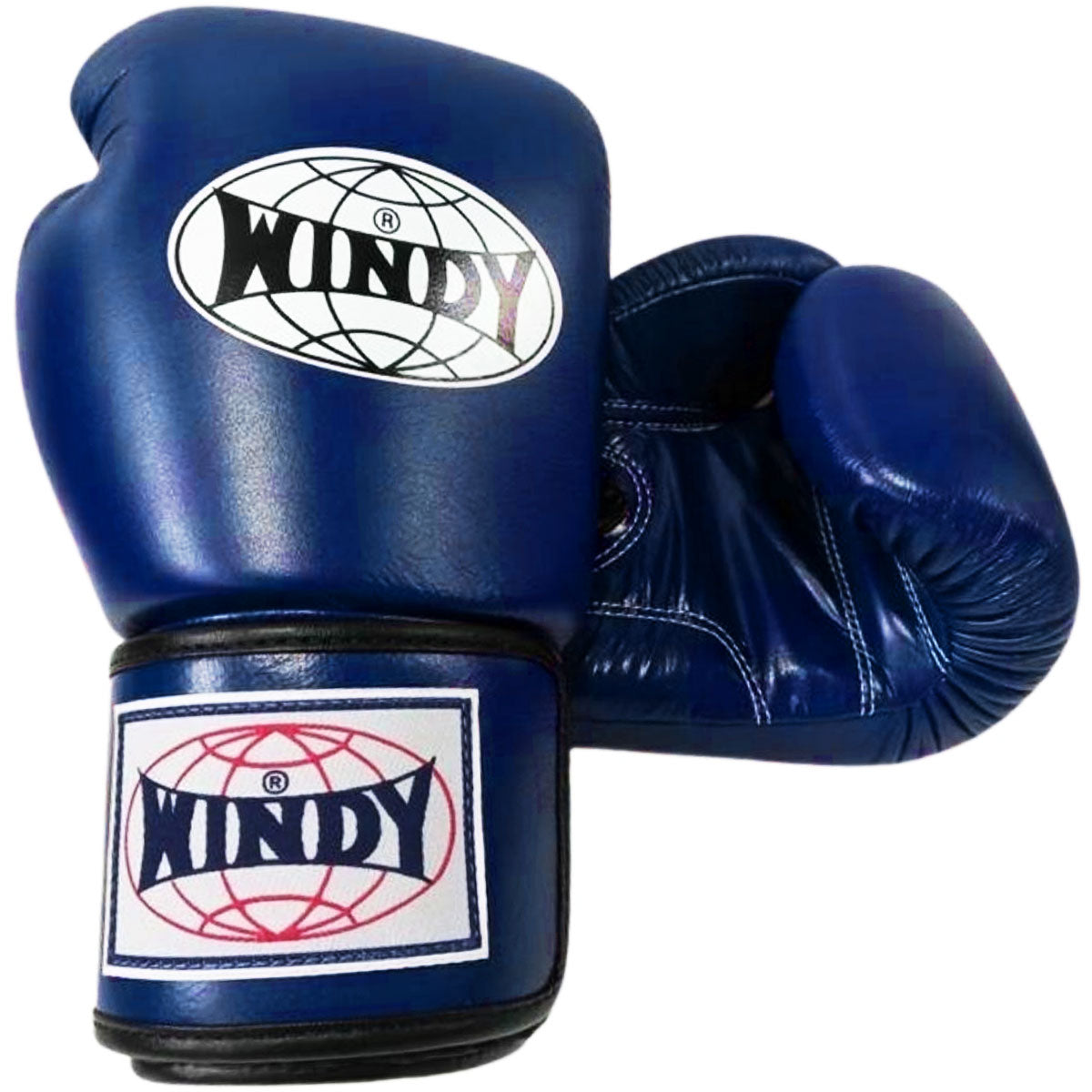 Boxing Gloves Windy BGVH Blue